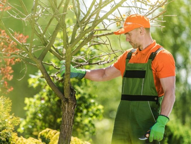 Tree Lopping with Star Property Maintenance