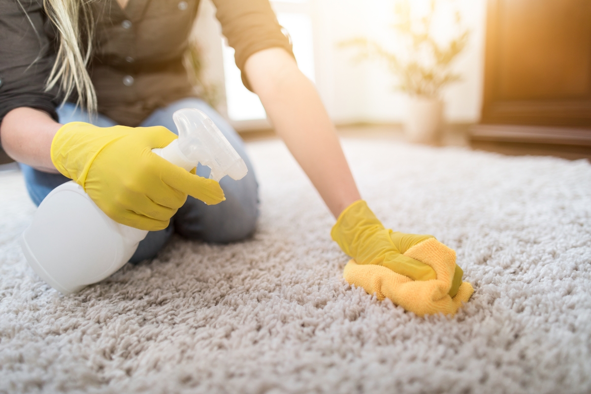 Spot Carpet Cleaning